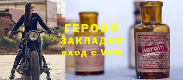 индика Новодвинск