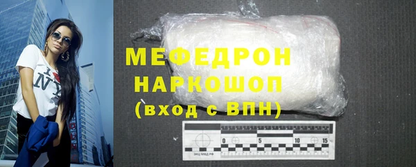 индика Новодвинск