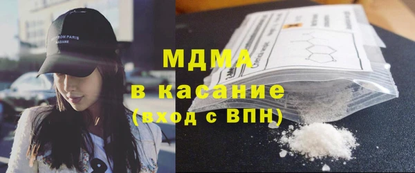 индика Новодвинск