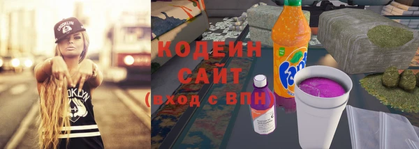 СК Новозыбков