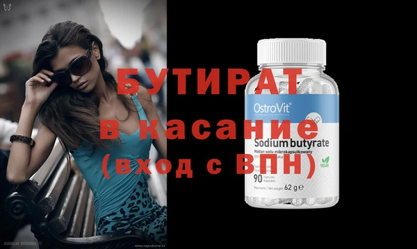 индика Новодвинск