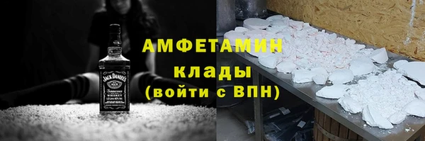 индика Новодвинск