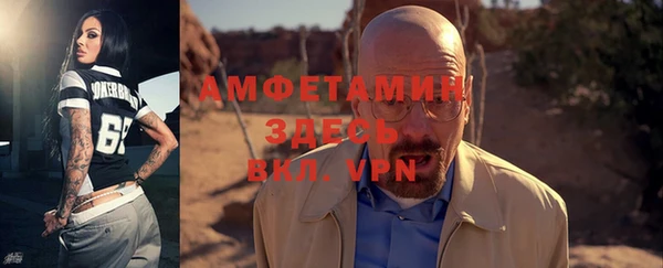 индика Новодвинск