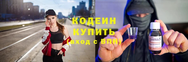 индика Новодвинск