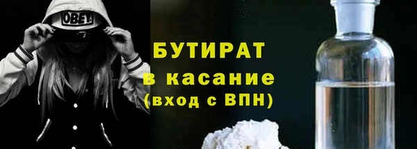 индика Новодвинск