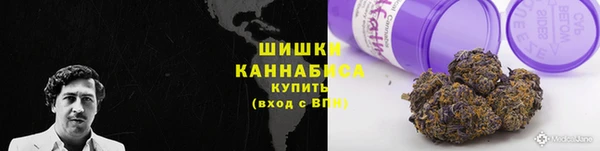 индика Новодвинск