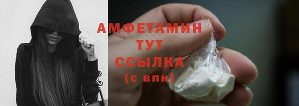 СК Новозыбков