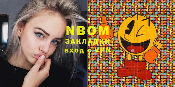индика Новодвинск