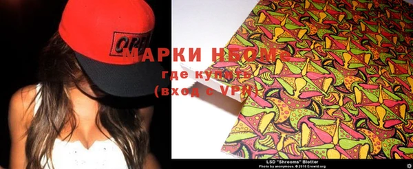 СК Новозыбков