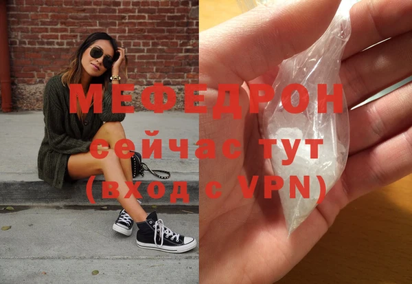 индика Новодвинск