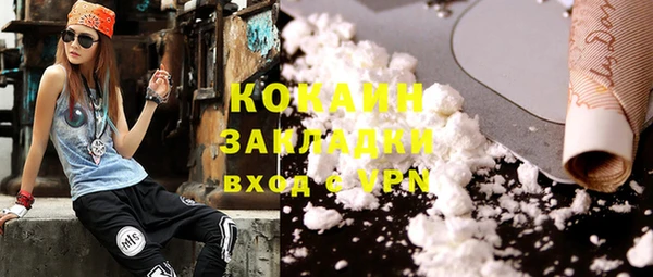 индика Новодвинск