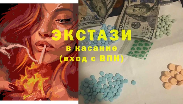 индика Новодвинск