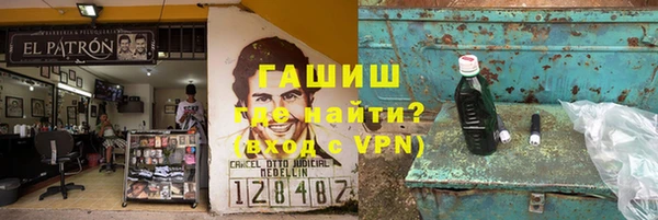 индика Новодвинск