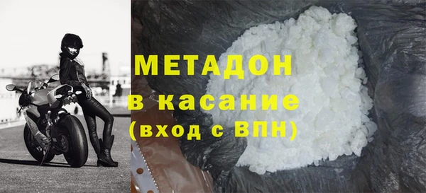 индика Новодвинск