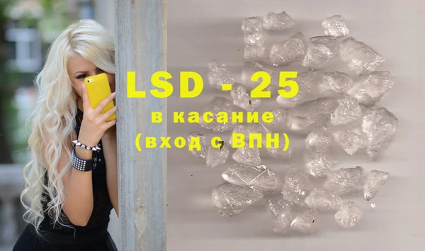 индика Новодвинск