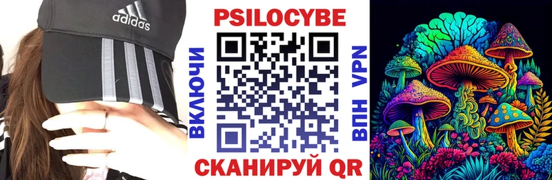 где купить наркотик Инсар Галлюциногенные грибы Cubensis